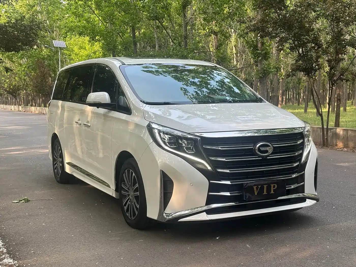 GAC Trumpchi Trumpchi M8 2021 Leading Show Series 390T Ultimate Edition фото 3