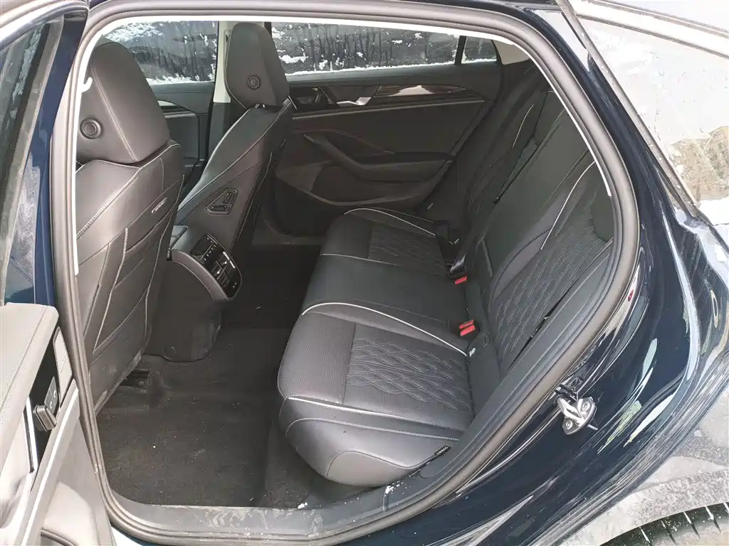 Volkswagen Magotan 2024 380TSI DSG Ultimate Edition фото 17
