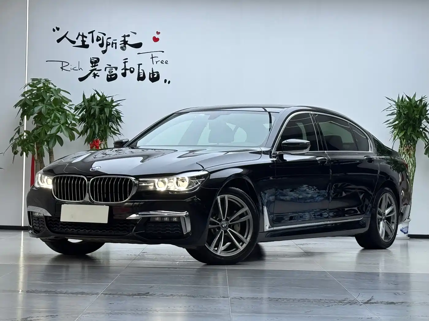BMW 7 Series