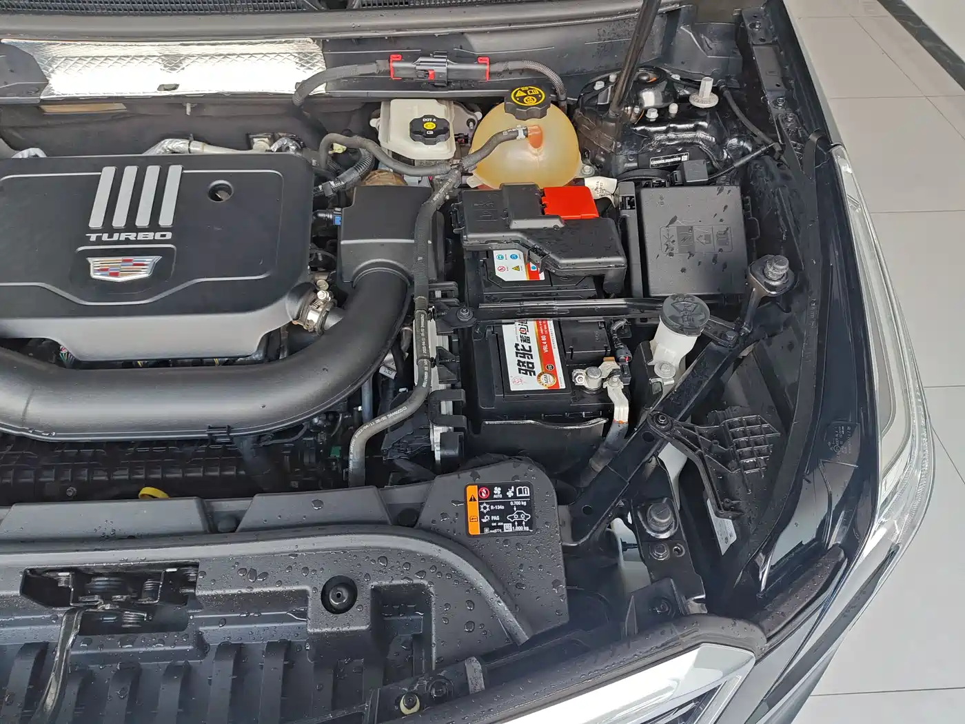 Cadillac XT5 2022 2.0T 2WD Luxury фото 34