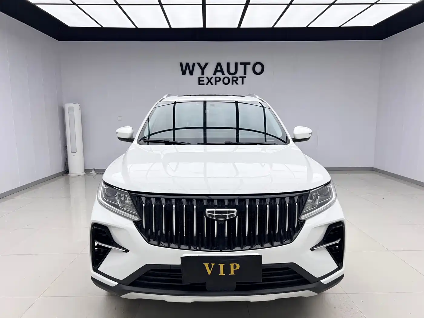 GEELY AUTOMOBILE VISION X6