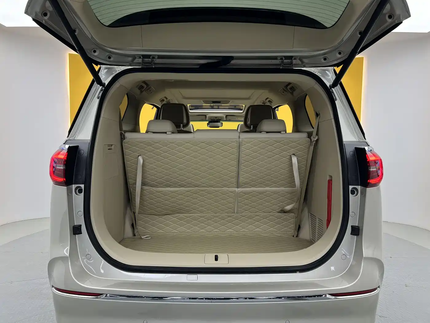 Buick GL8 2023 ES Landmaster Exclusive фото 29
