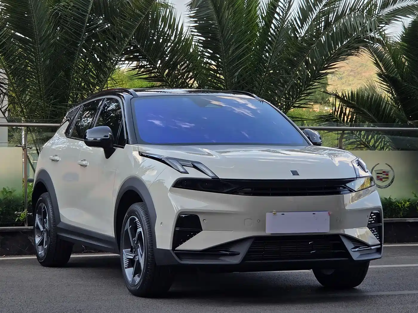 LYNK 06