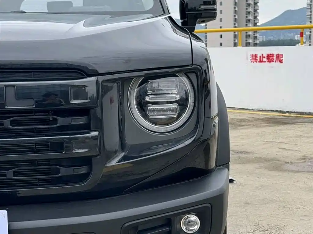 HAVAL BIG DOG