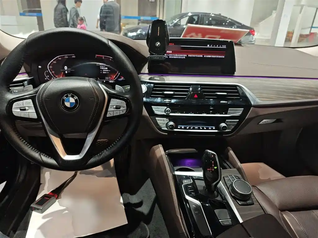 BMW 5 Series 2020 530Li Premium Luxury Package фото 10