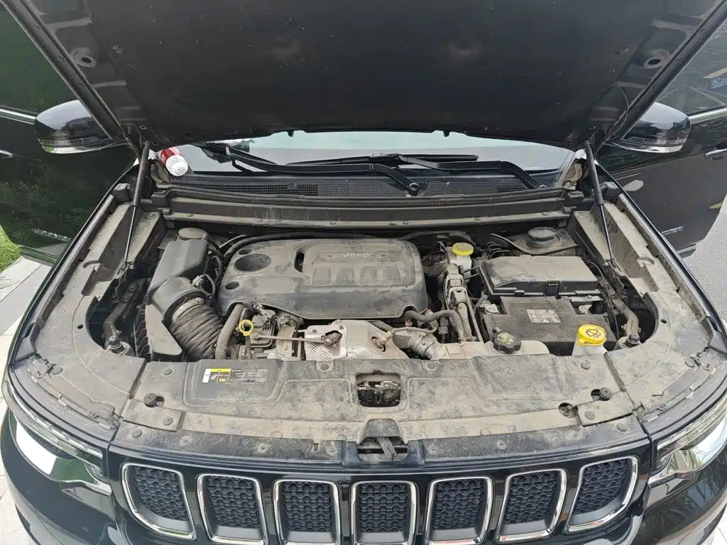 Jeep Grand Commander 2019 2018 2.0T 4WD Joy Edition China V