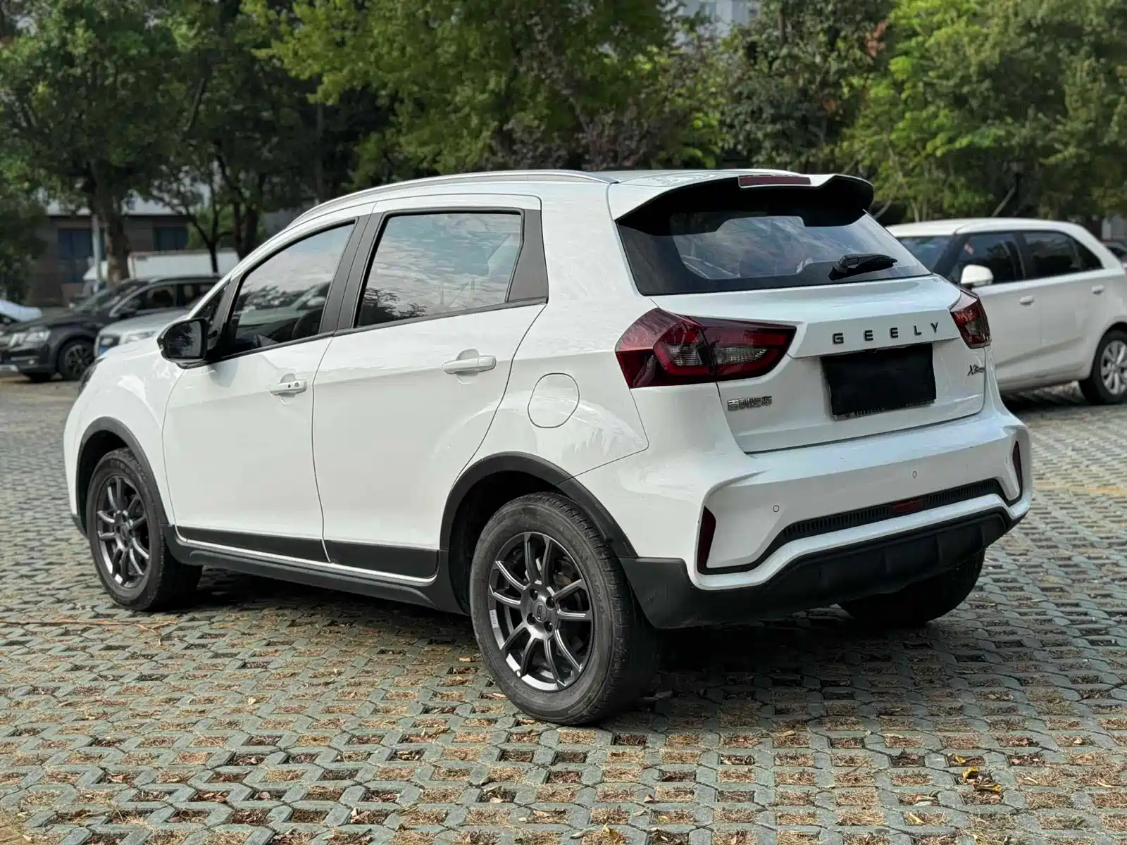 Фото 10 - Geely Vision X3