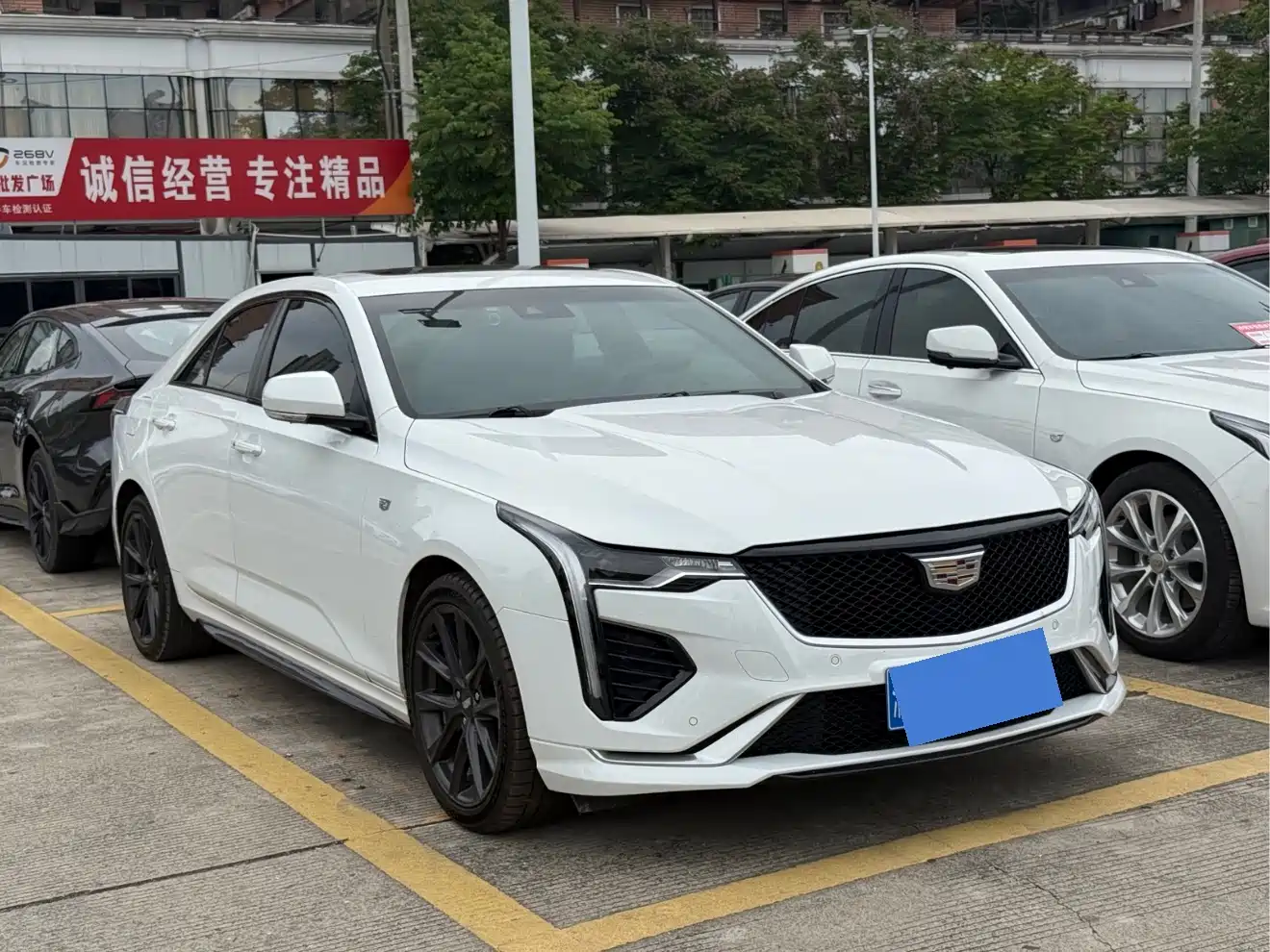 Cadillac CT4 2020 28T Elite фото 3