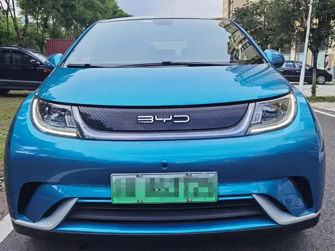 BYD Dolphin 2021 Model 405km Fashion Edition фото 2