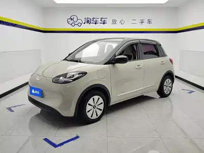 Wuling Bingo