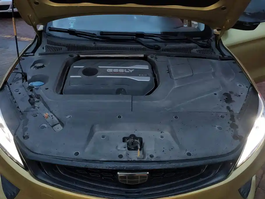 Geely Binrui 2019 2018 1.4T CVT Binzhi Edition