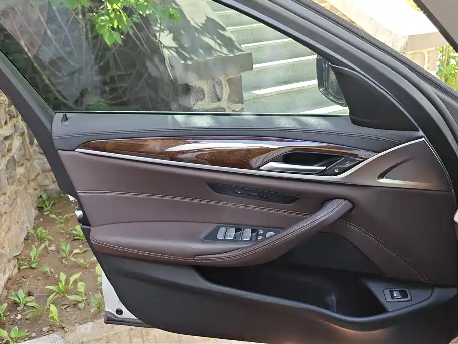 BMW 5 Series 2019 525Li Luxury Package фото 7