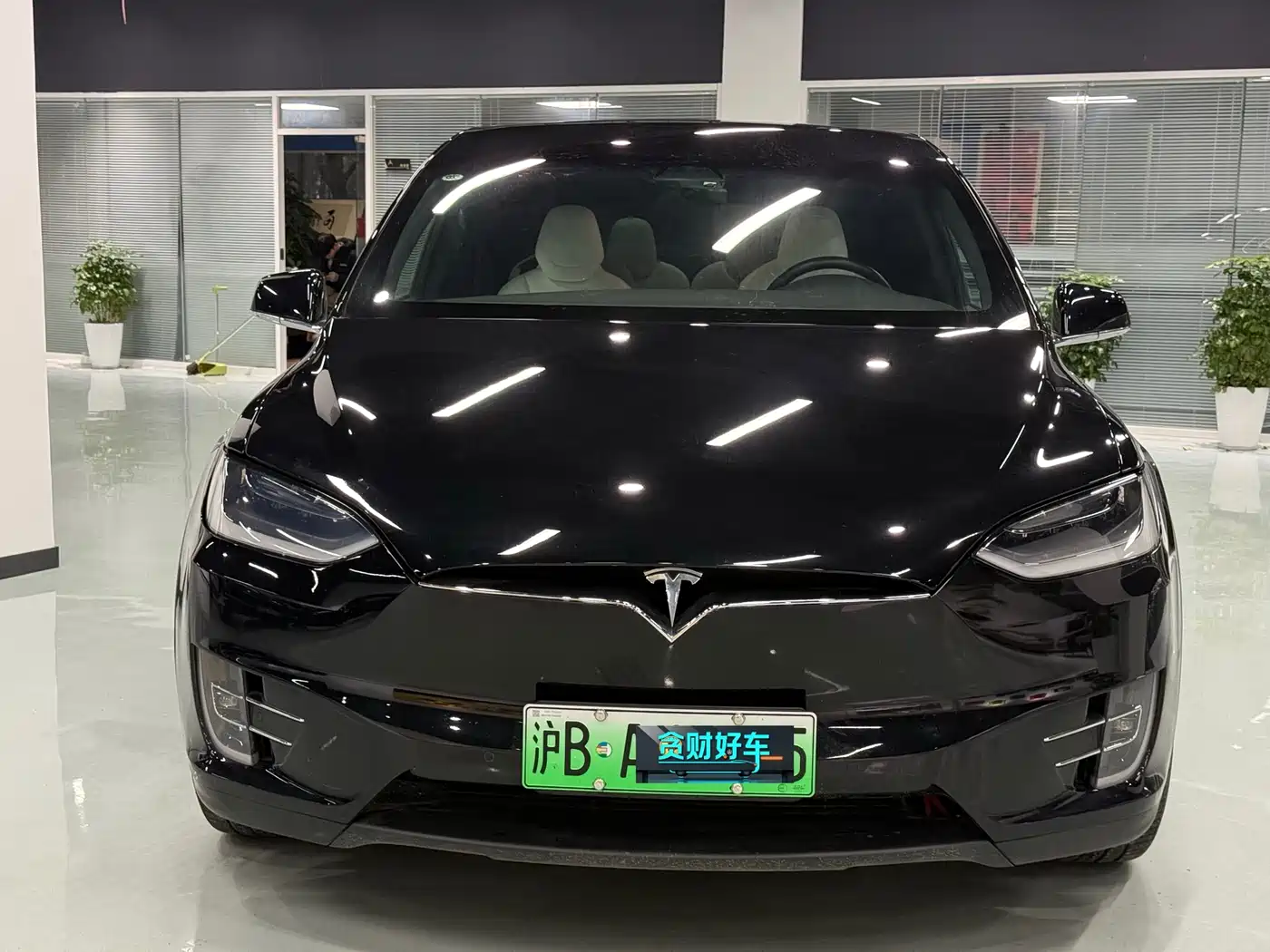 TESLA MODEL X