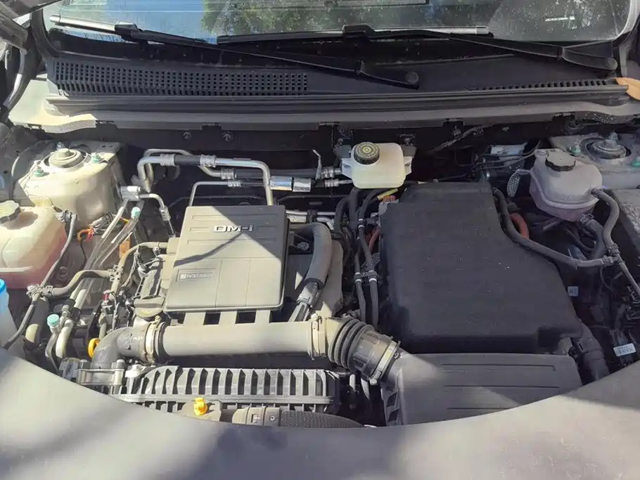 BYD Song Pro New Energy 2026