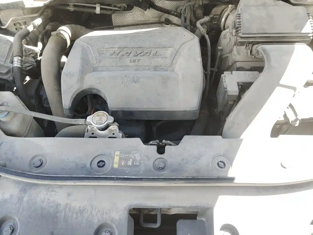 صورة 16 - Haval H2s