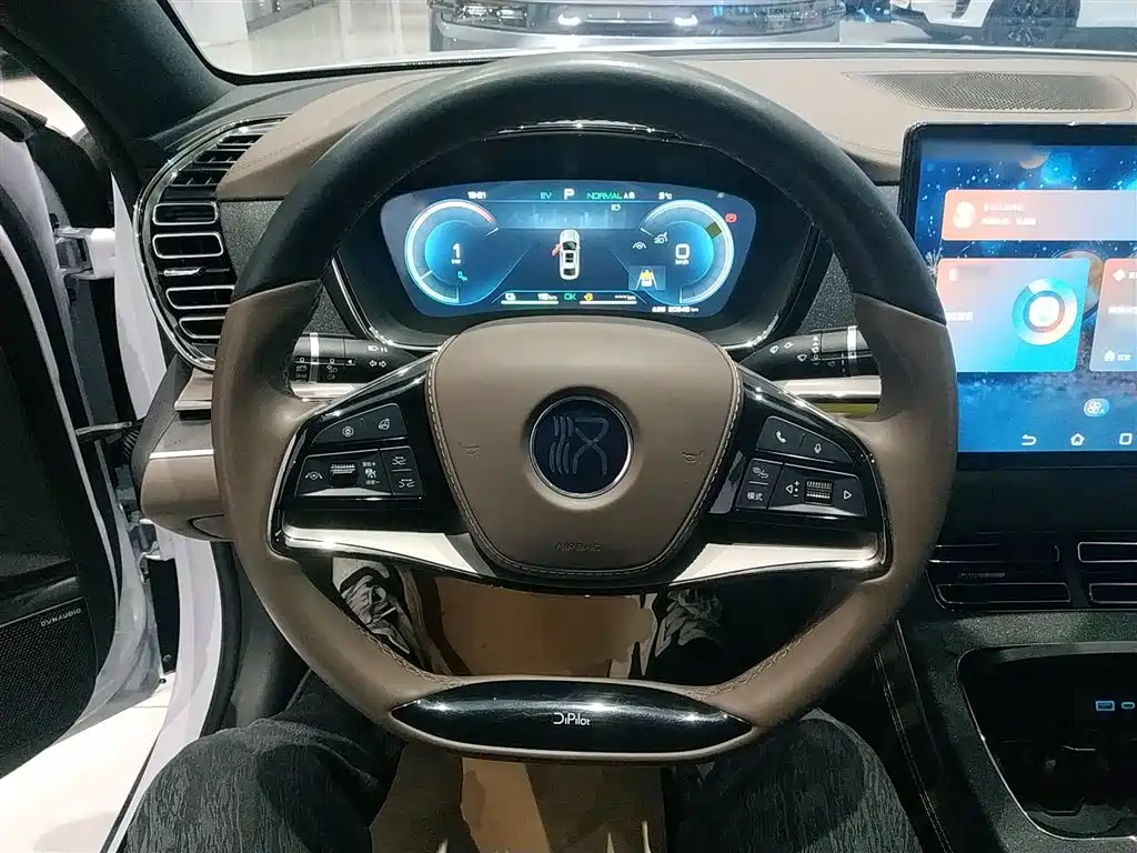 BYD Han 2023 DM-i Champion Edition 121KM Premium фото 11
