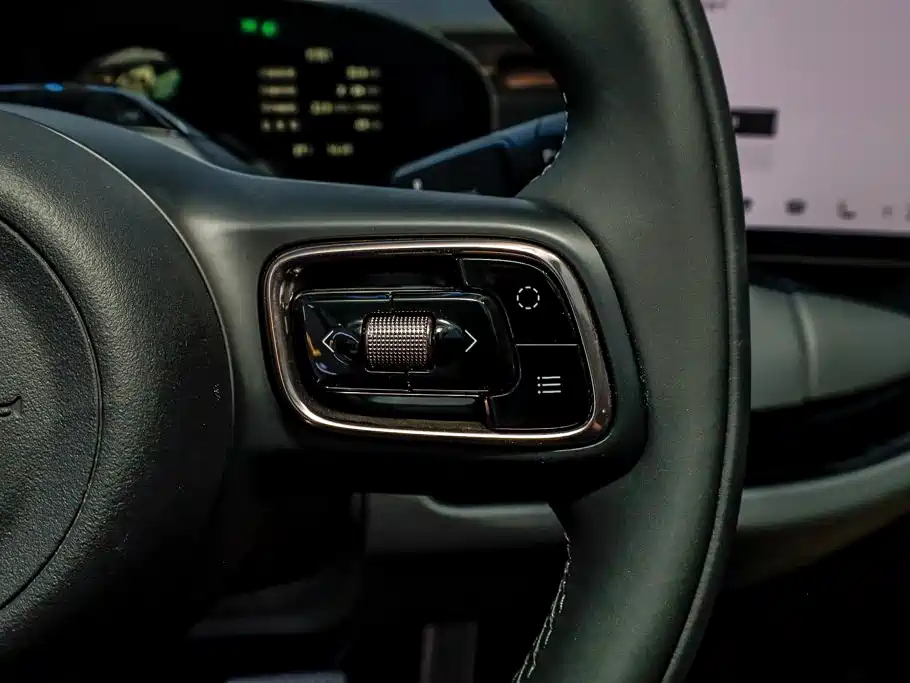 ZEEKR MIX 2026 2025 Smart Driving Edition