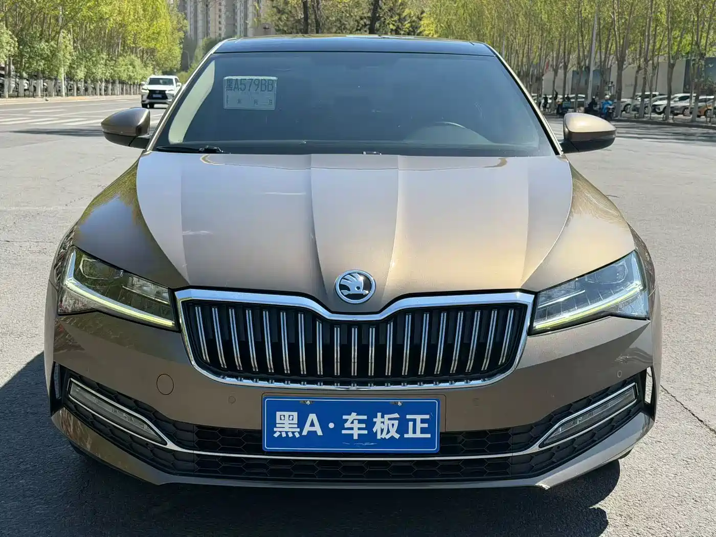 Škoda Superb 2019 TSI330 DSG Comfort Edition фото 2