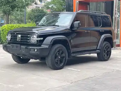 Tank 300