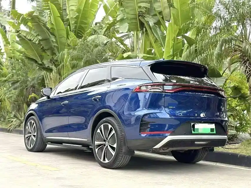 BYD Tang New Energy 2022 DM-p 215KM AWD Flagship фото 7