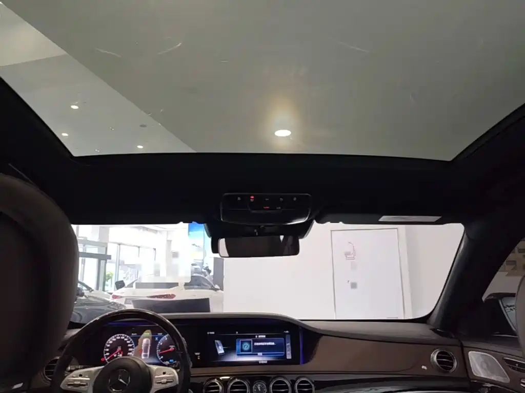 Mercedes-Benz S-Class 2020 S 350 L Premium Edition Collector's Version фото 18