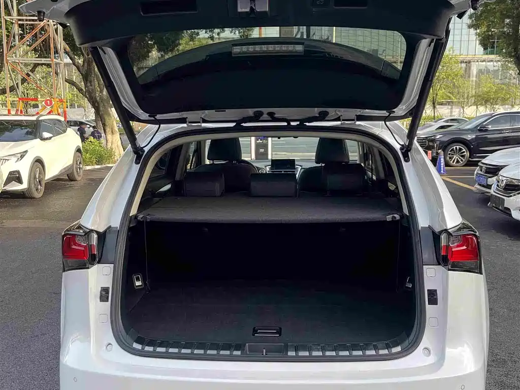 Фото 28 - Lexus NX