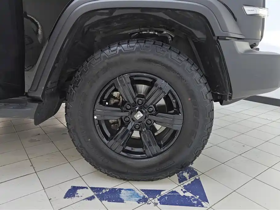 Tank 300 2023 Off-Road Edition 2.0T Conqueror фото 6
