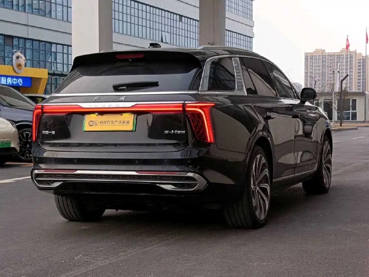 Hongqi E-HS9 2022 660km Qi Ling Edition (4-seater) фото 6