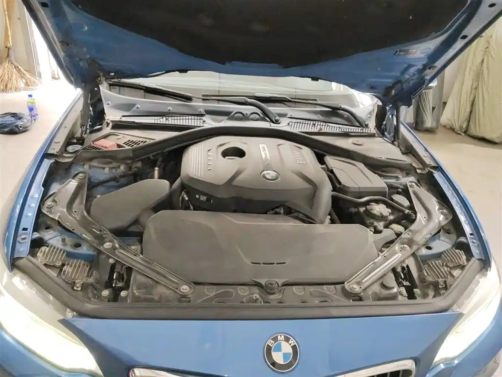 BMW 2 Series (Import) 2017 220i Convertible Coupe M Sport фото 11