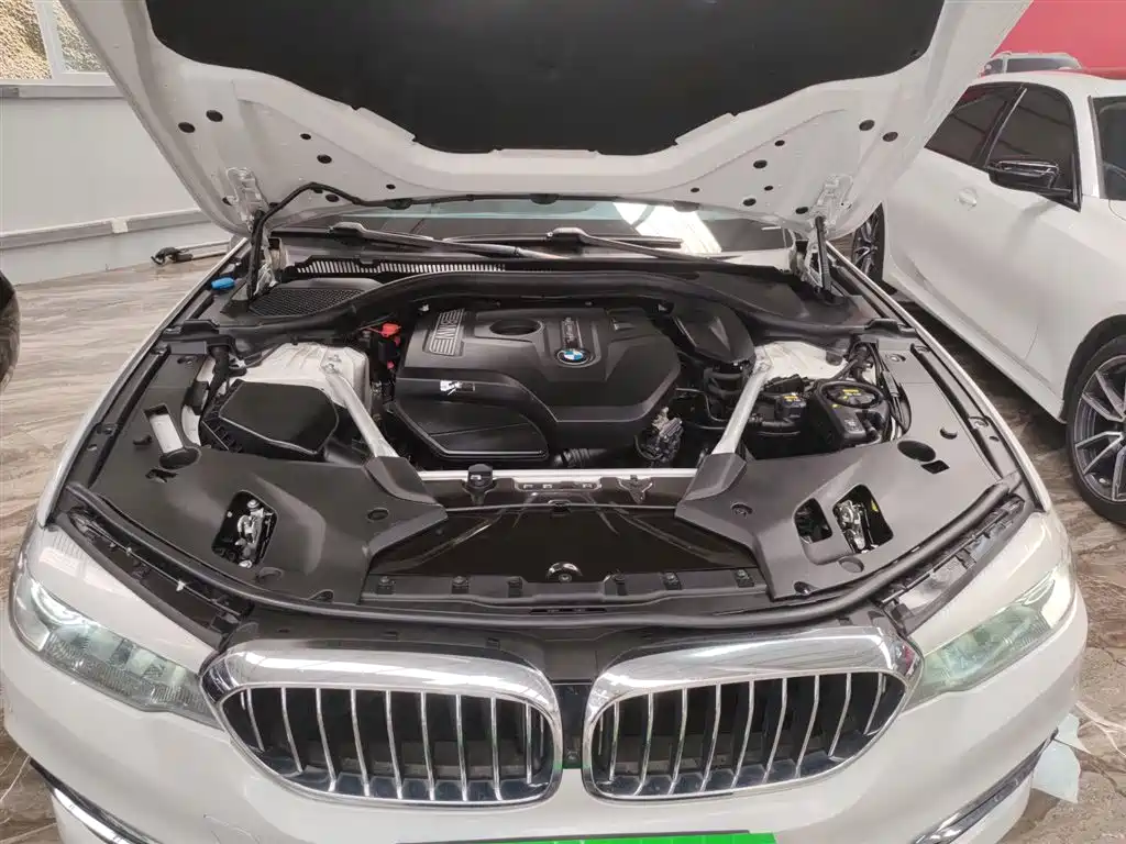 BMW 5 Series 2019 Facelift 530Li Leading Luxury Package фото 20