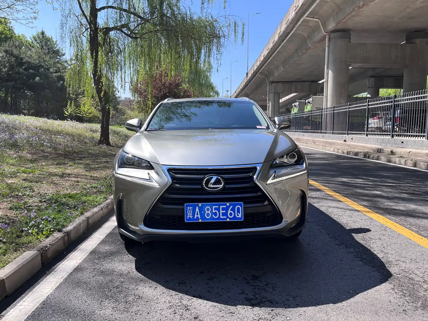 Lexus NX 2015 200t AWD F Sport фото 10