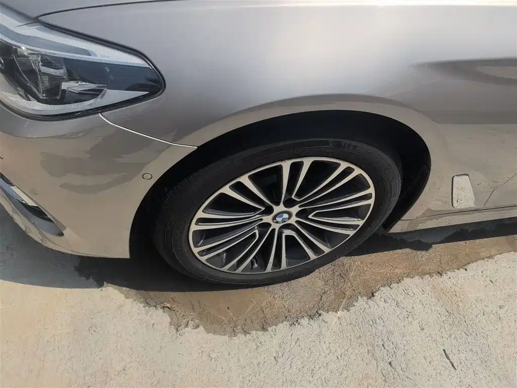 BMW 5 Series 2019 530Li Premium Luxury Package фото 25