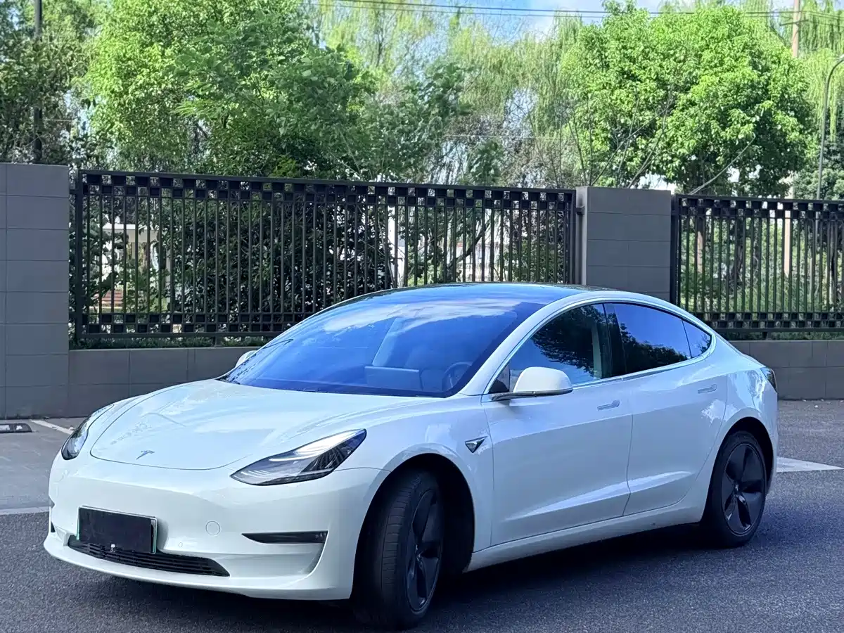 Tesla Model 3 (Import) 2019 2019 Long Range RWD Version