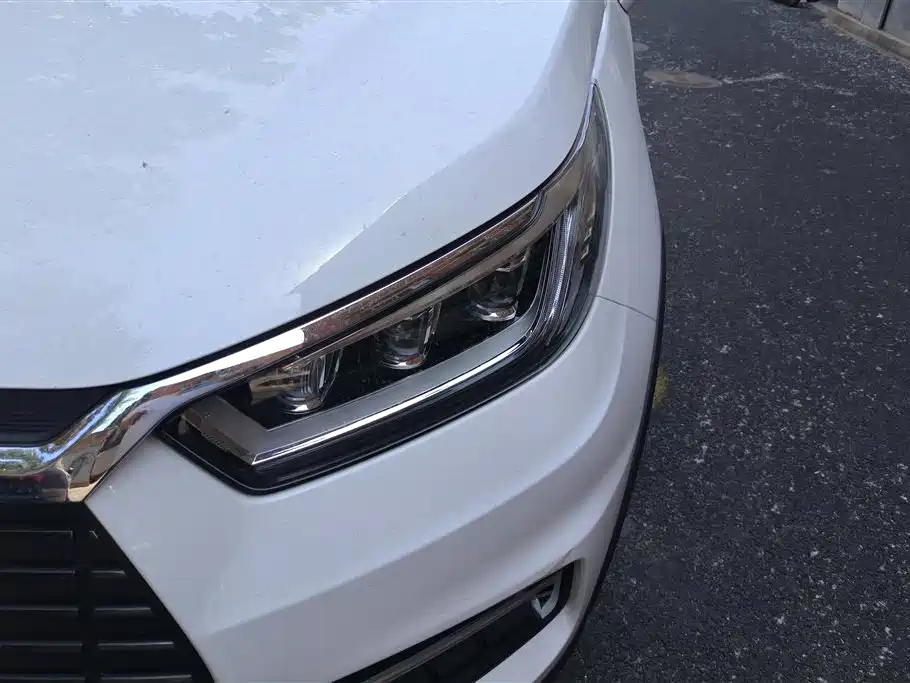 BYD Yuan New Energy 2019 EV535 Smart Connected Trend Leader Type фото 5