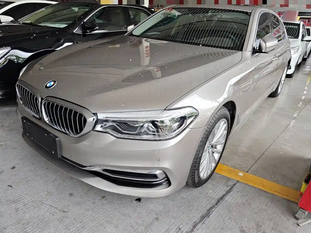 BMW 5 Series 2020 530Li Leading Luxury Package