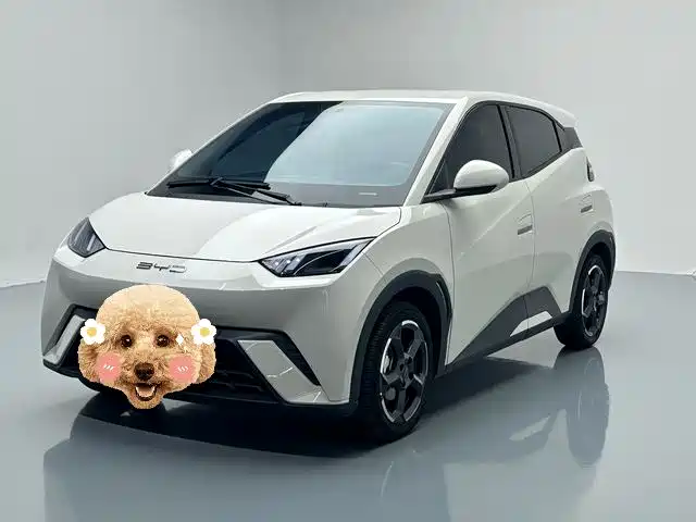 BYD Seagull 2023 Freedom Edition