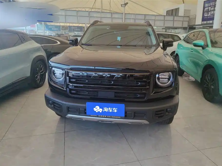 HAVAL BIG DOG