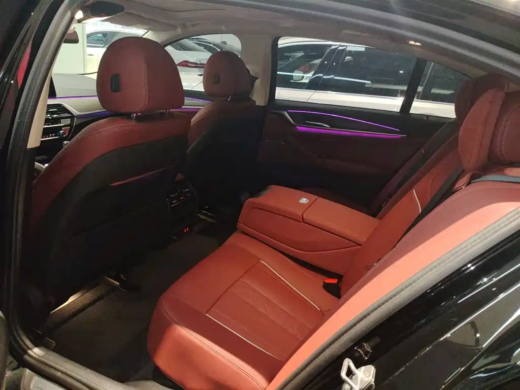BMW 5 Series 2023 530Li Leading Luxury Package фото 13