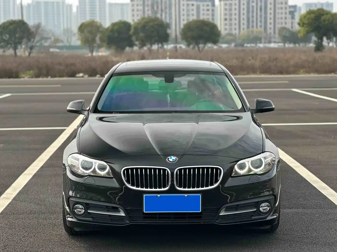 BMW 5 Series 2017 525Li Leading Edition фото 6
