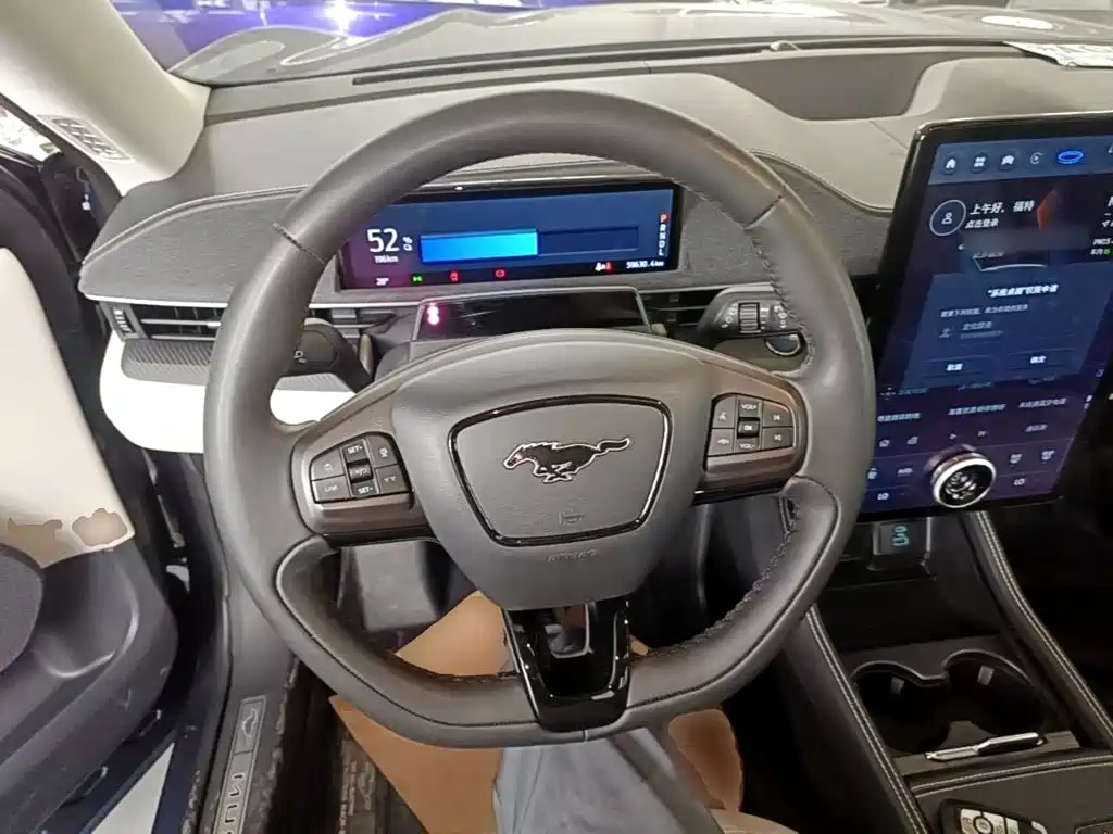 Ford Mustang Mach-E 2022 2021 Boundless RWD Luxury (Long Range)