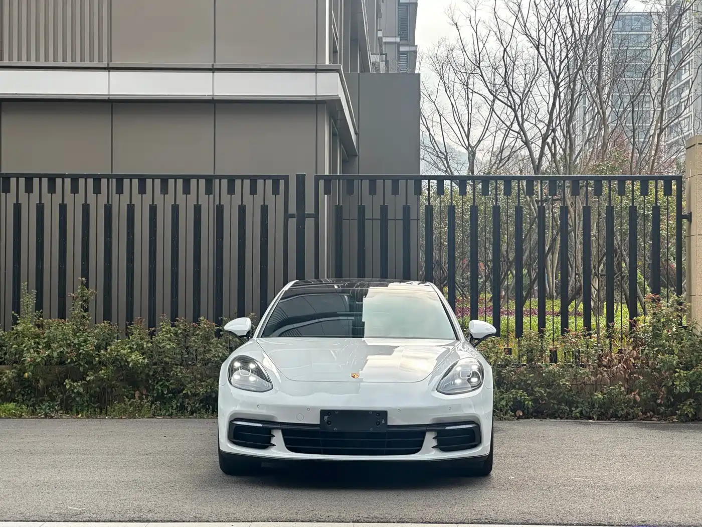 Porsche Panamera 2017 Panamera 3.0T фото 2
