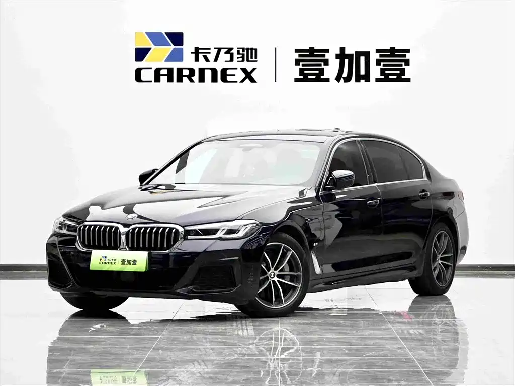 BMW 5 Series New Energy 2021