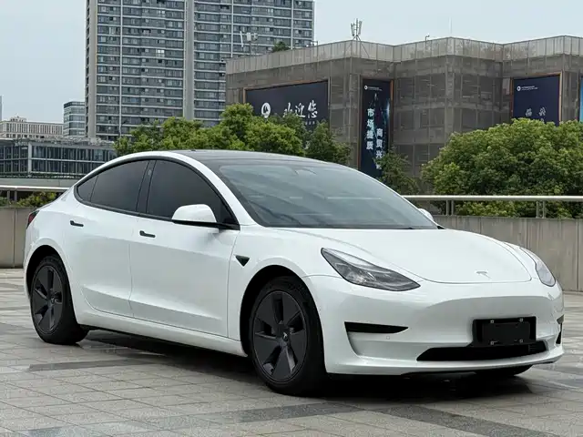 Tesla Model 3 2022 Model Rear-Wheel Drive Version — фото 3