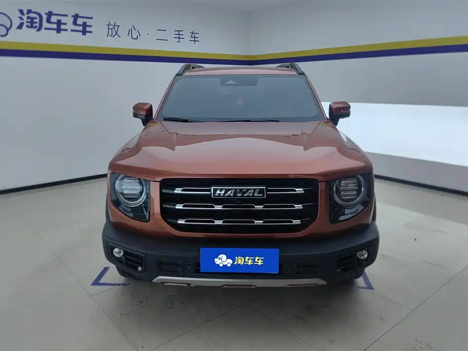 HAVAL BIG DOG