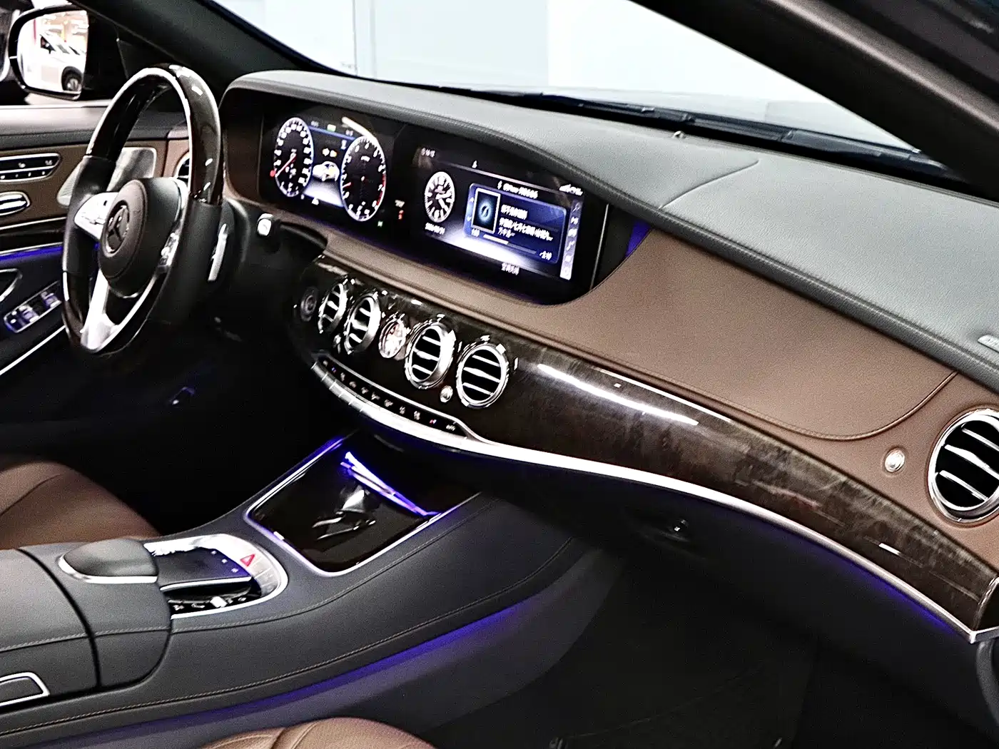 Mercedes-Benz S-Class 2020 S 350 L Premium Edition Collector's Version фото 14