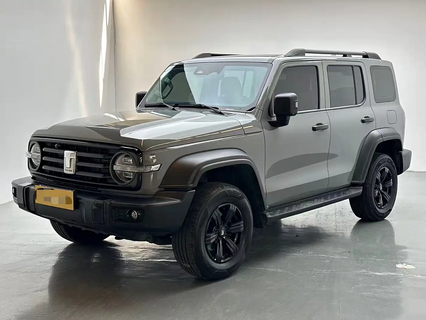 Tank 300 2021 2021 Off-road Version 2.0T Conqueror
