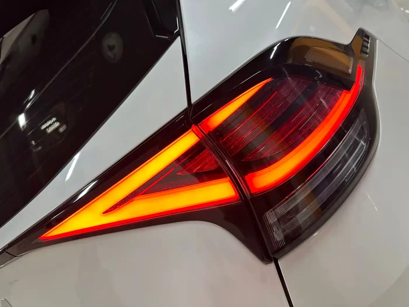 KIA LION PLATINUM EXPANDS THE WORLD