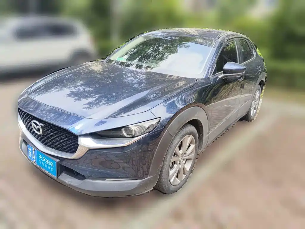  Mazda Mazda CX-30 2020 2.0L Automatic Yayue