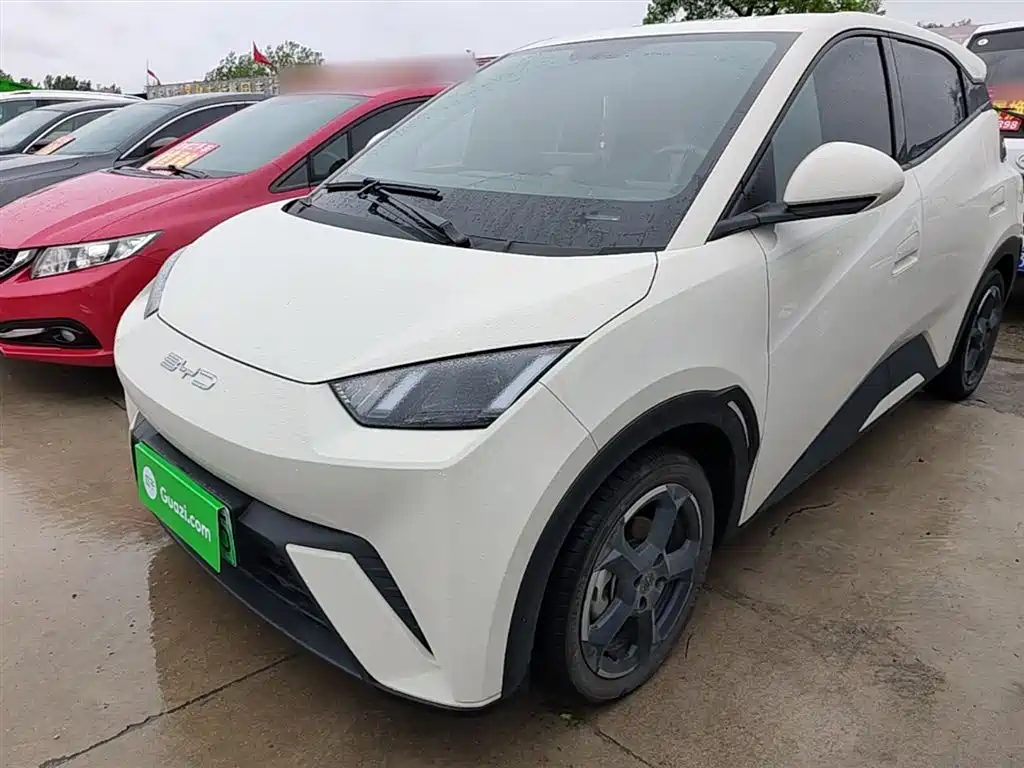 BYD Seagull 2023 Freedom Edition