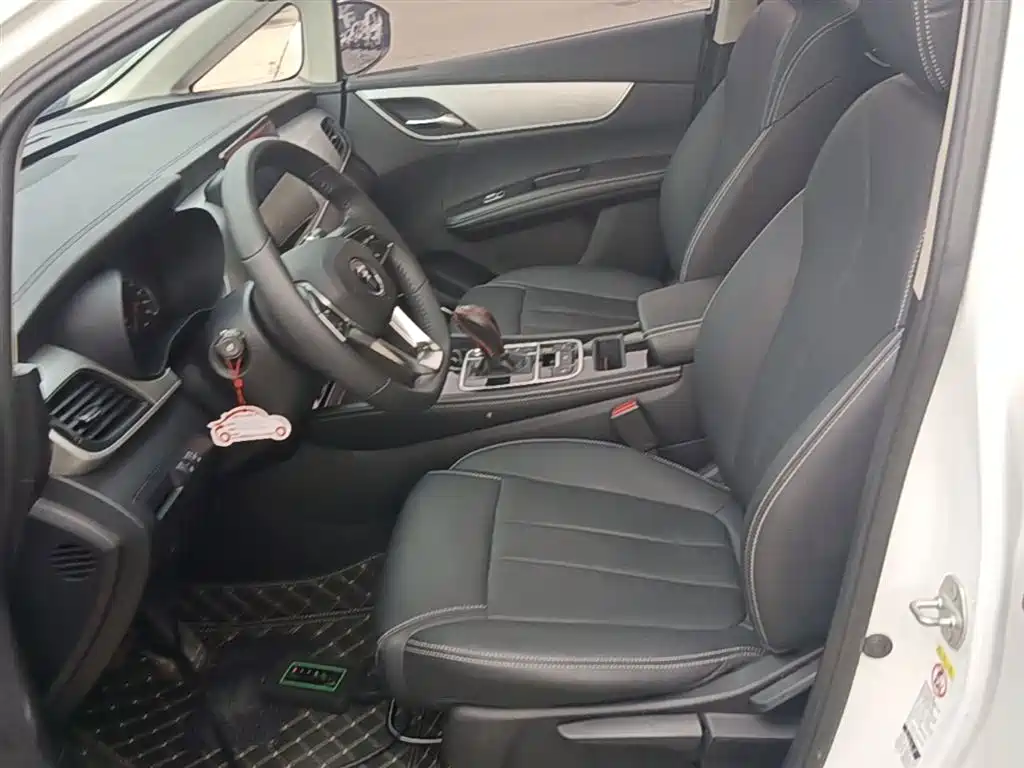 BYD Song MAX 2021 Upgrade 1.5T Automatic Luxury Edition 7-Seater фото 15